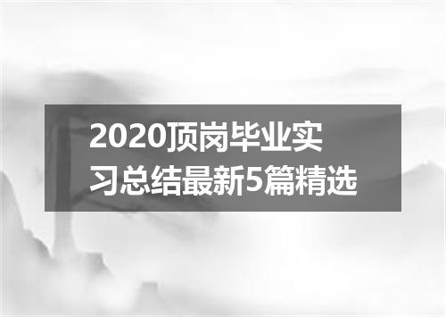 2020顶岗毕业实习总结最新5篇精选