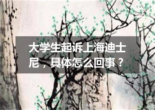 大学生起诉上海迪士尼，具体怎么回事？