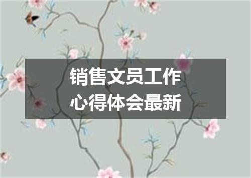 销售文员工作心得体会最新