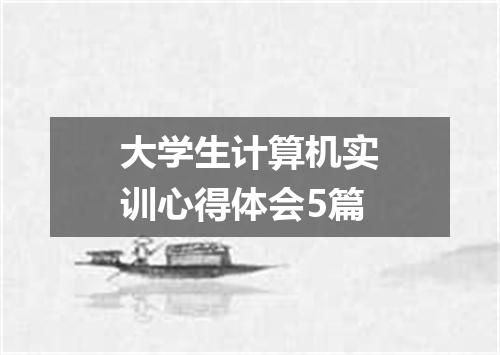 大学生计算机实训心得体会5篇