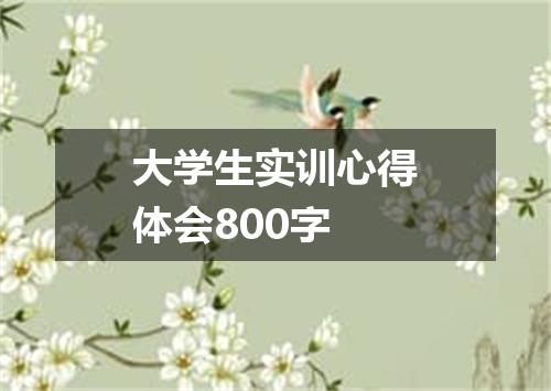 大学生实训心得体会800字