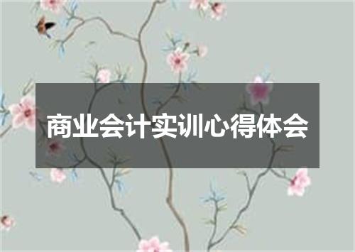 商业会计实训心得体会