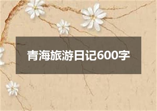 青海旅游日记600字