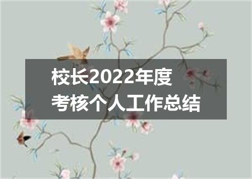 校长2022年度考核个人工作总结