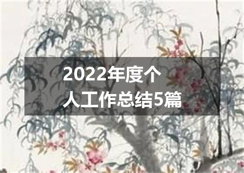 2022年度个人工作总结5篇