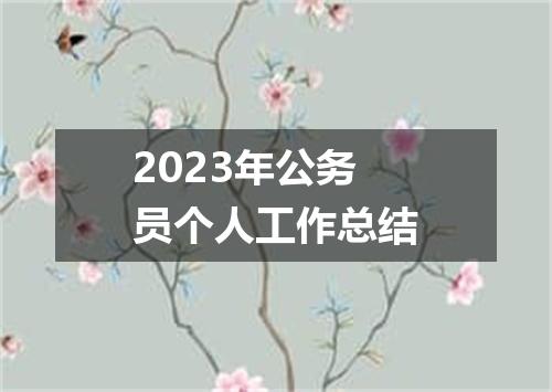 2023年公务员个人工作总结