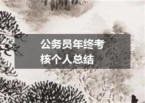 公务员年终考核个人总结