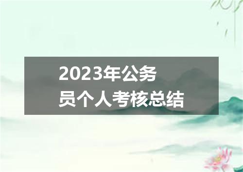 2023年公务员个人考核总结