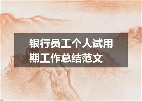 银行员工个人试用期工作总结范文
