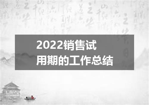 2022销售试用期的工作总结