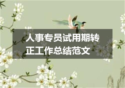 人事专员试用期转正工作总结范文