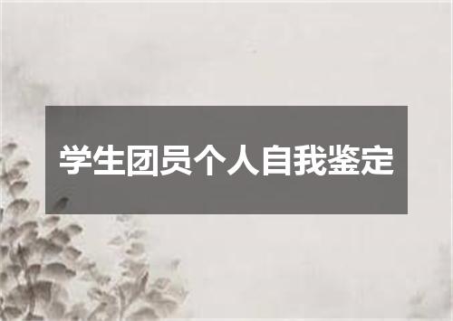 学生团员个人自我鉴定