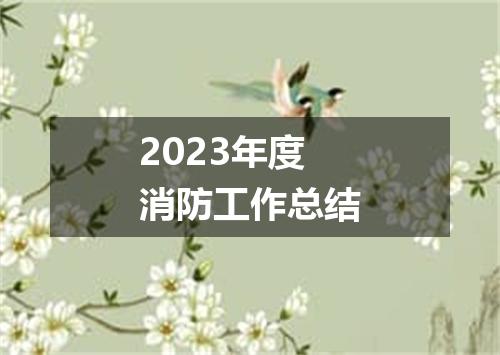 2023年度消防工作总结