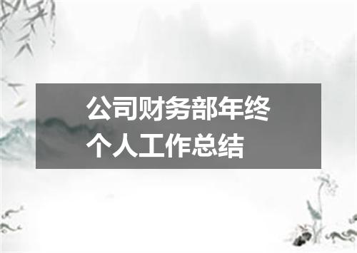 公司财务部年终个人工作总结