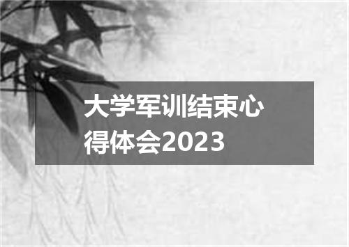 大学军训结束心得体会2023