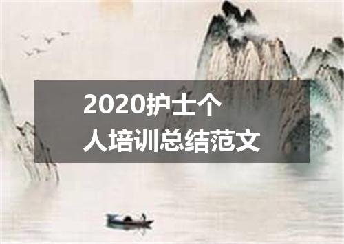 2020护士个人培训总结范文