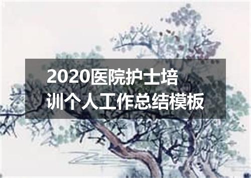 2020医院护士培训个人工作总结模板