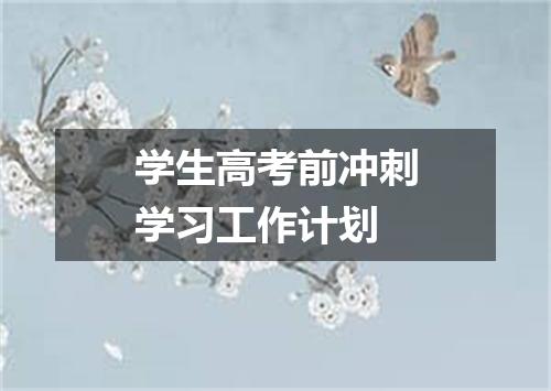 学生高考前冲刺学习工作计划