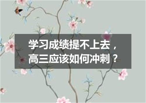 学习成绩提不上去，高三应该如何冲刺？