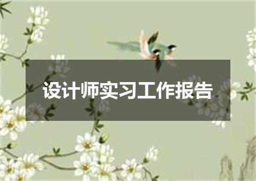 设计师实习工作报告