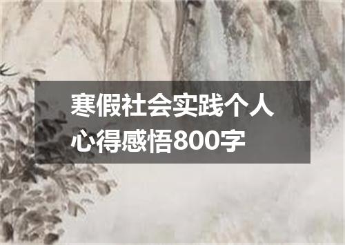寒假社会实践个人心得感悟800字