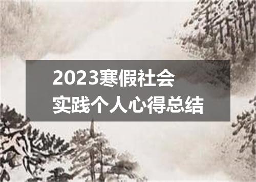 2023寒假社会实践个人心得总结