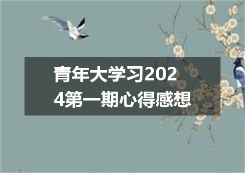 青年大学习2024第一期心得感想