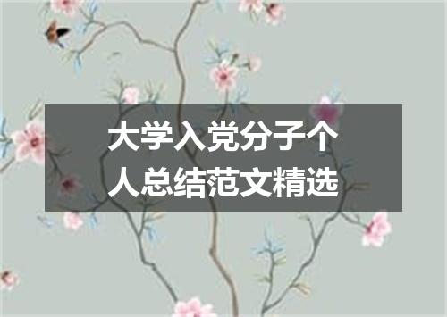 大学入党分子个人总结范文精选
