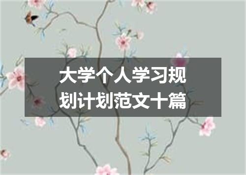 大学个人学习规划计划范文十篇