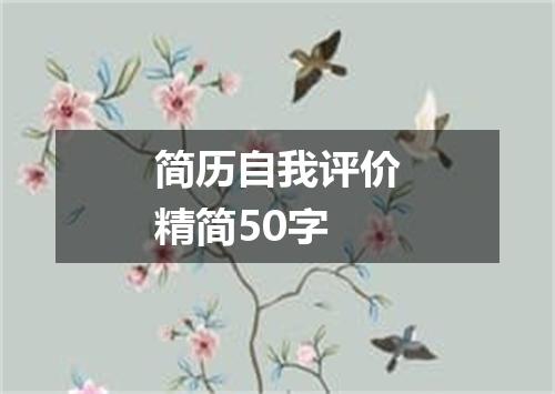 简历自我评价精简50字
