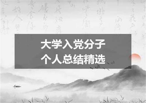 大学入党分子个人总结精选