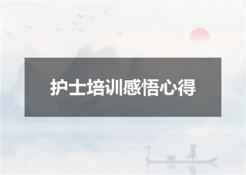护士培训感悟心得