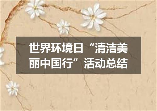 世界环境日“清洁美丽中国行”活动总结