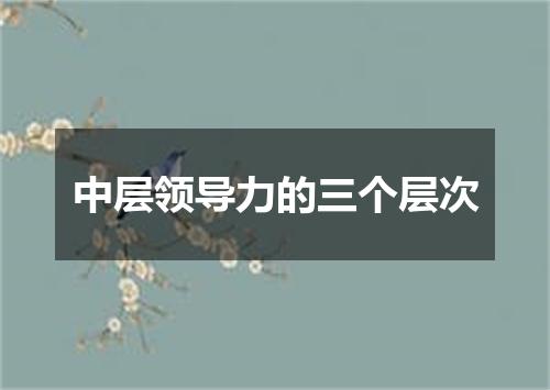 中层领导力的三个层次