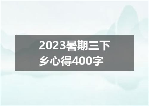 2023暑期三下乡心得400字