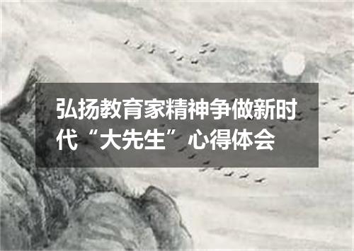 弘扬教育家精神争做新时代“大先生”心得体会
