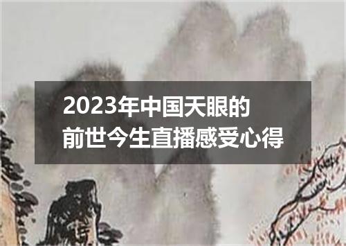 2023年中国天眼的前世今生直播感受心得