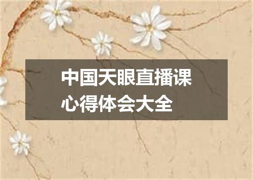 中国天眼直播课心得体会大全