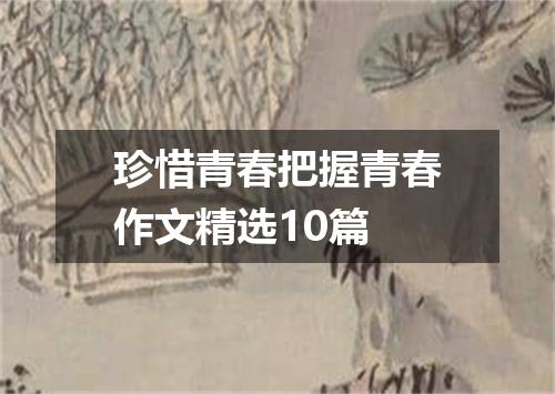 珍惜青春把握青春作文精选10篇
