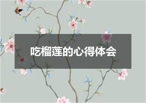 吃榴莲的心得体会