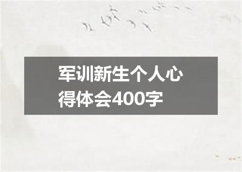 军训新生个人心得体会400字