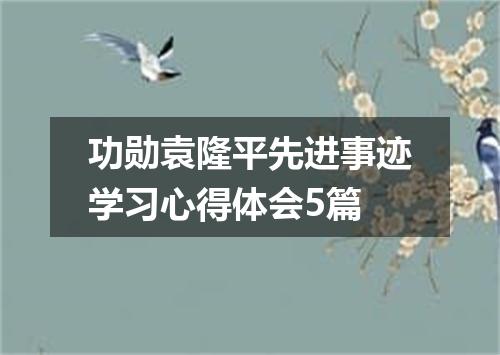 功勋袁隆平先进事迹学习心得体会5篇