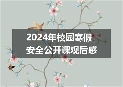 2024年校园寒假安全公开课观后感