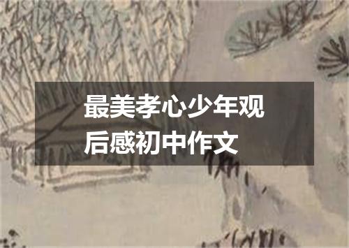 最美孝心少年观后感初中作文