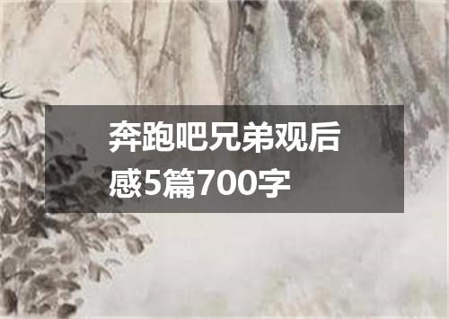 奔跑吧兄弟观后感5篇700字
