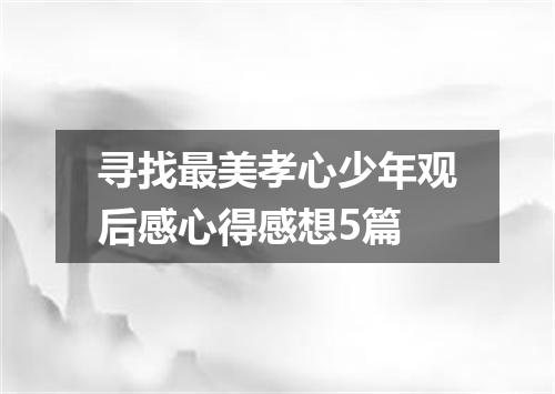寻找最美孝心少年观后感心得感想5篇