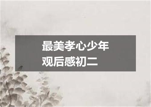 最美孝心少年观后感初二