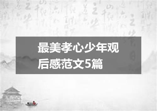 最美孝心少年观后感范文5篇