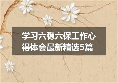 学习六稳六保工作心得体会最新精选5篇