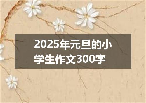 2025年元旦的小学生作文300字